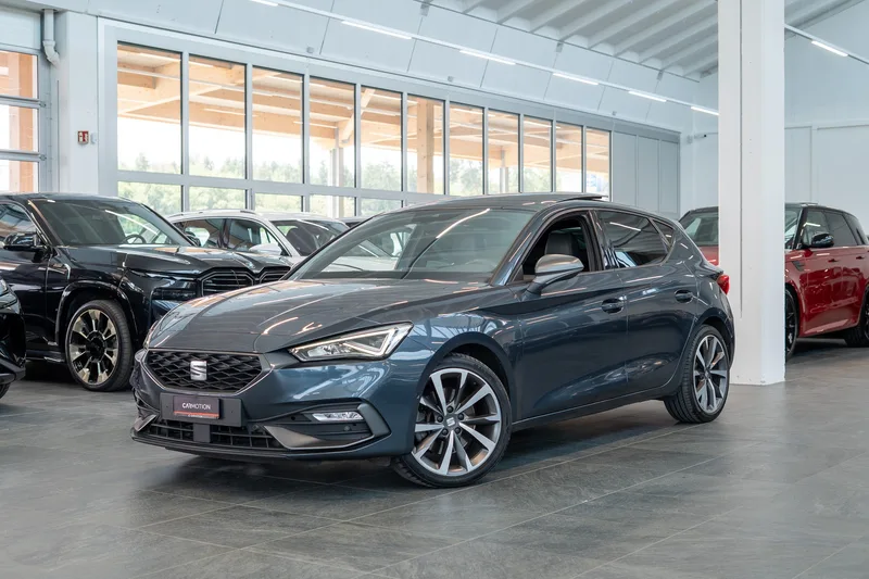 SEAT Leon in Grau