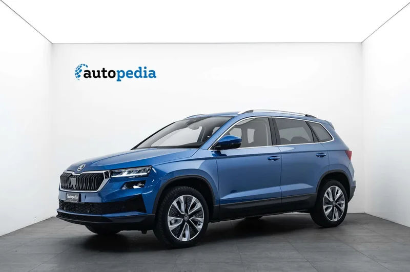 Skoda Karoq in Blau